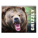 Search for grizzly bear calendars Wildlife