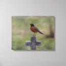 Search for robin canvas prints Wild
