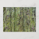 Recherche de lichen cartes postales Vert