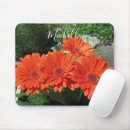 Search for daisy electronics Orange