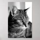 Recherche de black white posters Gray
