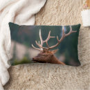 Search for elk pillows Wild