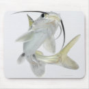 Search for catfish electronics Animal