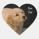 Search for golden puppy stickers Animal