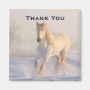 Search for snow white magnets Winter