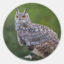 Recherche de duc autocollants Aigle