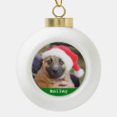 Search for pine ornaments Red