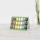 Search for gay bear pride cards Queer