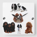 Recherche de cavalli horloges Chien