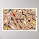 Recherche de oiseaux japonais posters Vintage