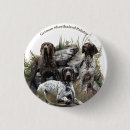 Search for shorthair buttons German shorthaired pointer