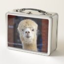 Recherche de cute lunch boxes Alpaga