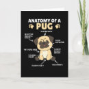 Search for anatomy cards Puppy