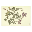 Recherche de corné art Vintage