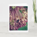 Recherche de milkweed Photographie