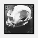 Recherche de crânes magnets Horreur