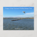 Search for wildlife postcards Refuge
