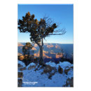 Recherche de juniper posters Sud ouest