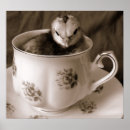 Search for bantam art Poultry