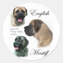 Search for mastiff stickers Pets