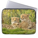 Search for cheetah print cases Jungle animals