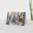 Search for birch christmas cards Cardinal