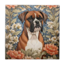 Recherche de boxer carreaux Chien