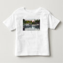 Recherche de herbe de coton cartes postales Vue