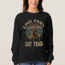 Search for funny racoon Eat