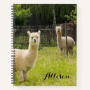 Search for alpaca notebooks Animal