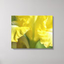 Search for iris flowers canvas prints Nature
