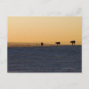Search for absence postcards Horizontal