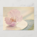 Recherche de tendresse cartes postales Floral