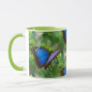 Search for morpho mugs Blue morpho butterfly