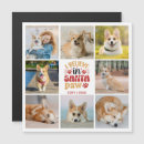 Search for white cat christmas cards Photo collage