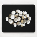 Search for egg shells Fun