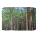 Search for forest trail Nature