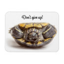 Recherche de renversement magnets Mignon