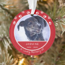 Search for pet supplies Red