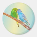 Recherche de perroquet vert magnets Mignon