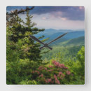 Search for danita delimont clocks Forest