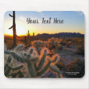Search for superstition electronics Southwest