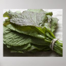 Search for bunch art Leaf