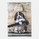 Recherche de chiens à vendre Chiot