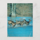 Search for running vertical postcards Nature