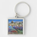 Search for garnet keychains California
