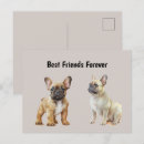 Search for dog friend postcards Cute