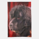 Recherche de canines photographie Pour elle