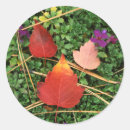 Search for hawthorn stickers Flowers