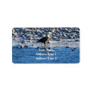Search for symbols return address labels Birds